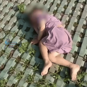 Bocah Jatuh dari Lantai 18 di China, Selamat Berkat Pohon Ajaib