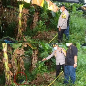 Mayat Pria dalam Karung Gegerkan Tangerang, Polisi Telusuri Dugaan Pembunuhan Sadis di Kebun Pisang